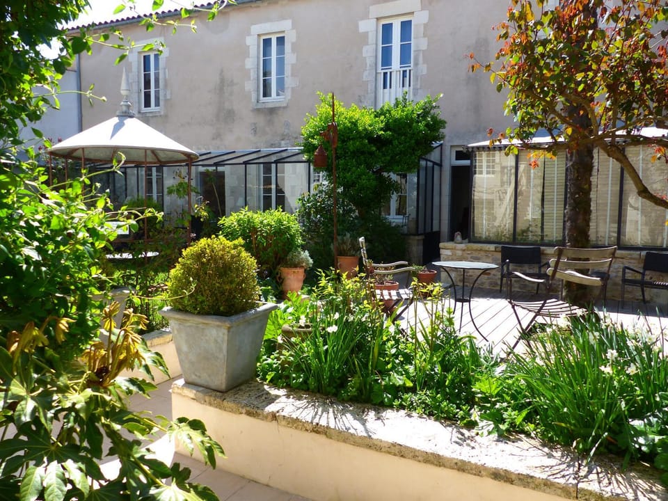 Patio, Garden