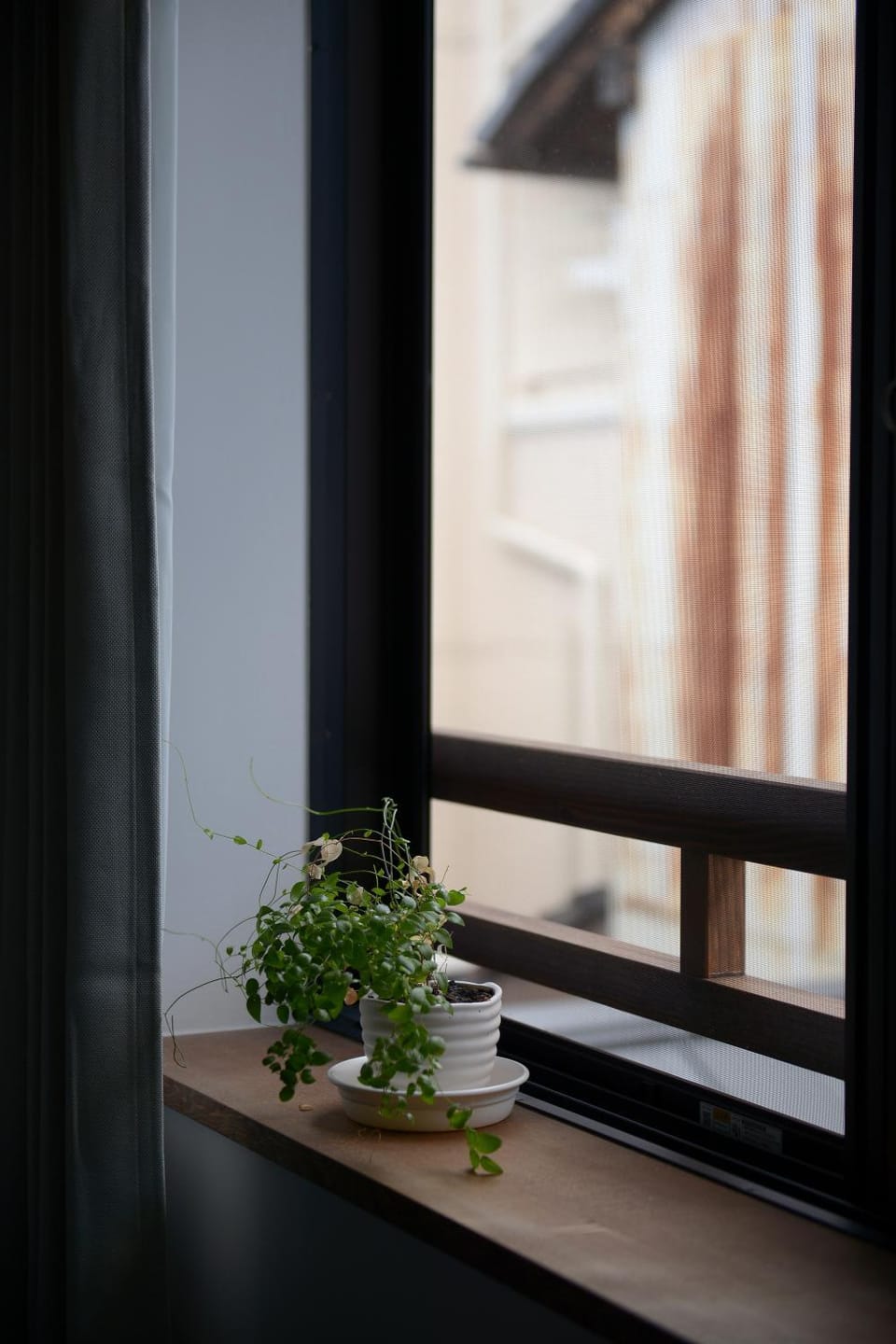 Decorative detail