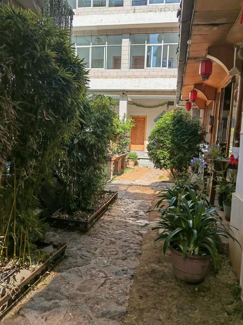 Property building, Day, Garden
