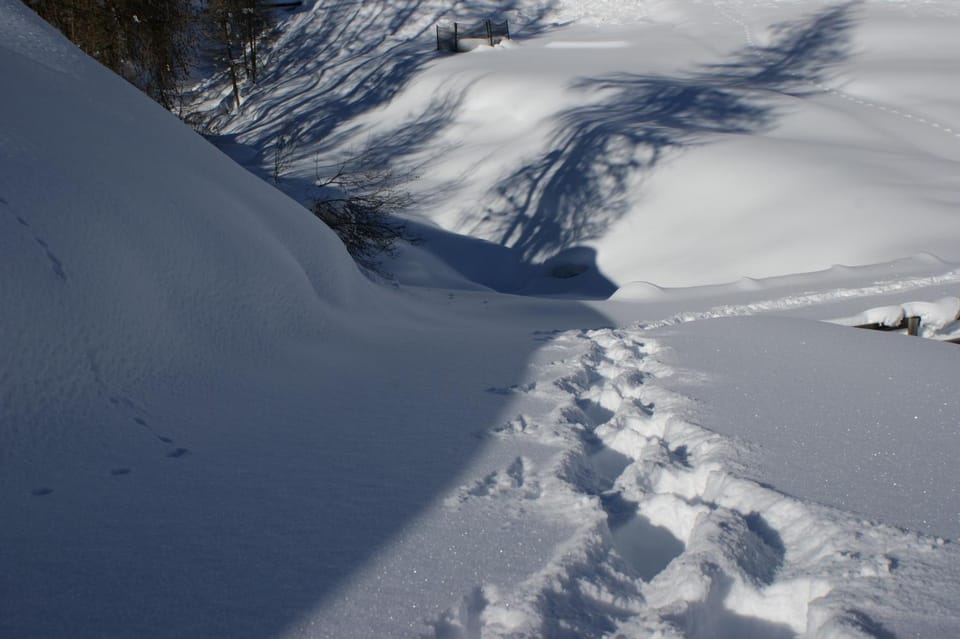 Natural landscape, Skiing
