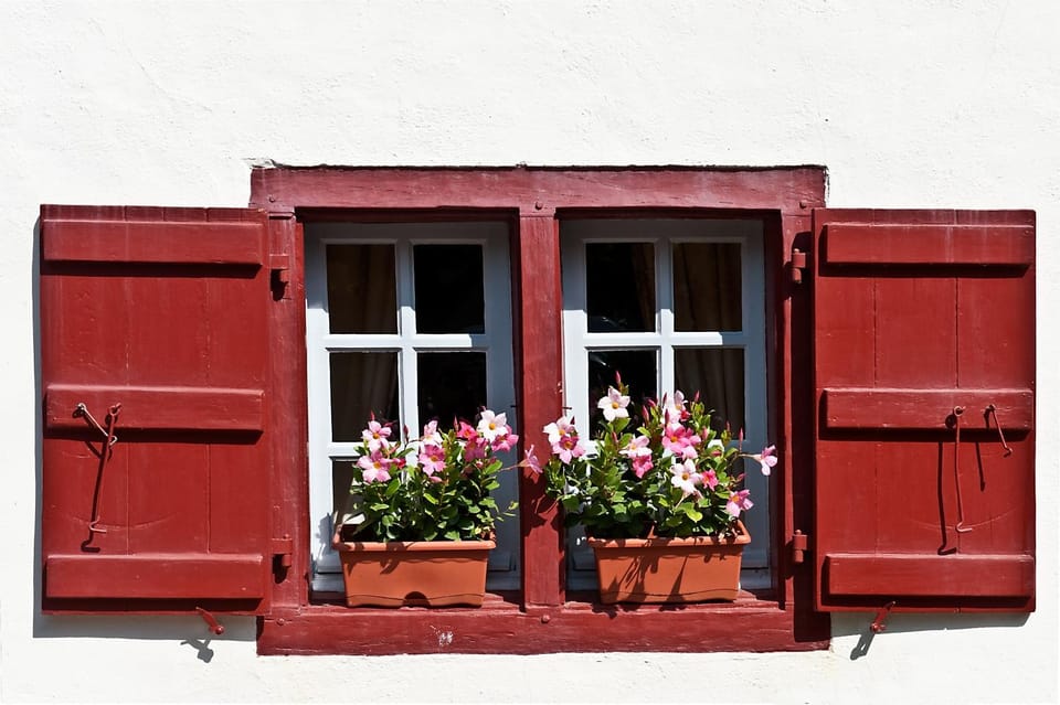 Garden view