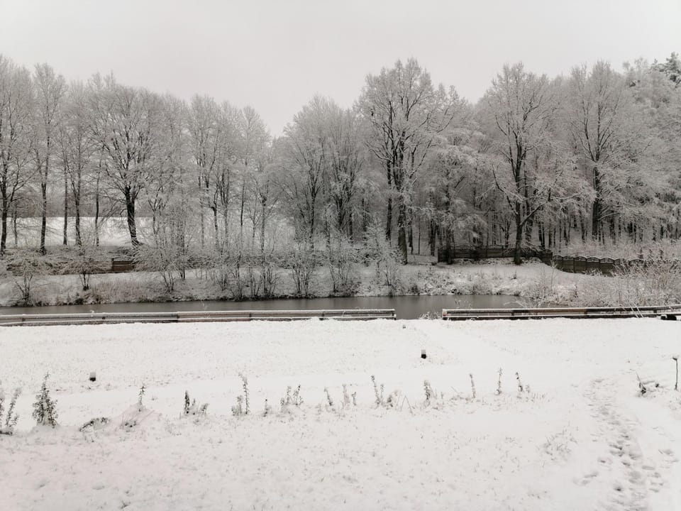 Natural landscape, Winter