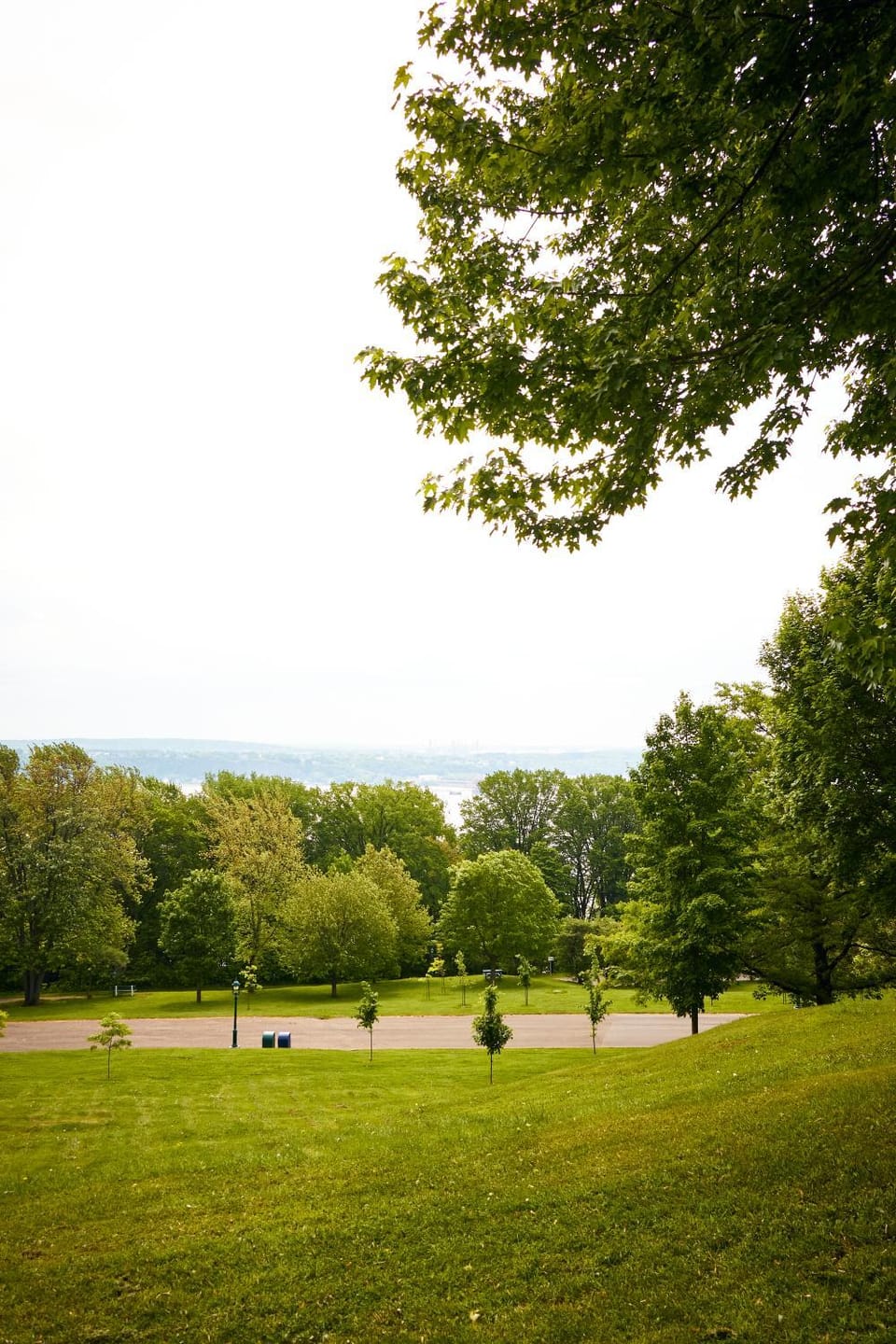 Natural landscape