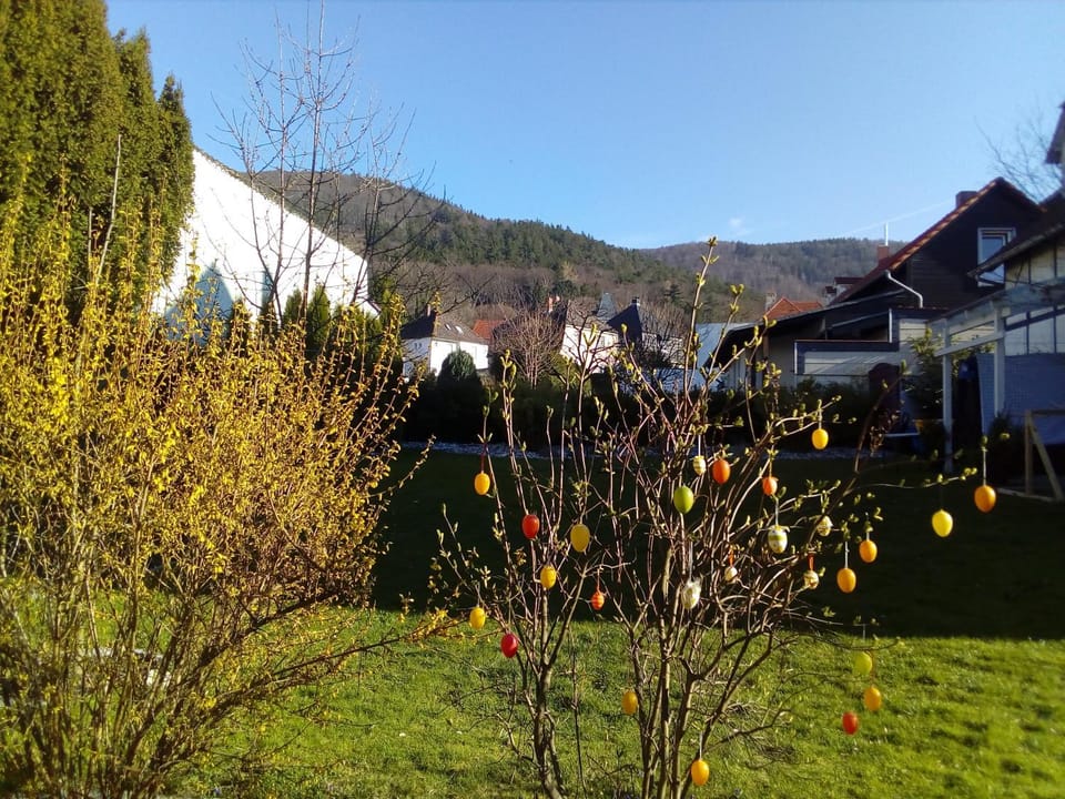 Property building, Spring