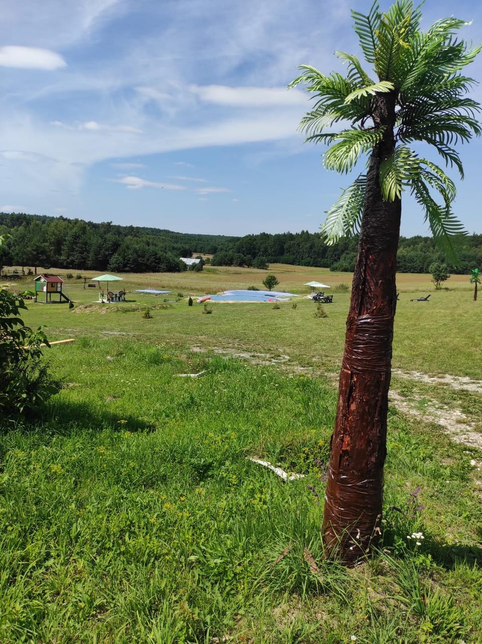 Natural landscape, Swimming pool