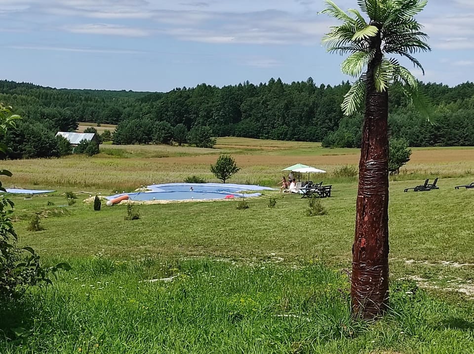 Natural landscape, Pool view