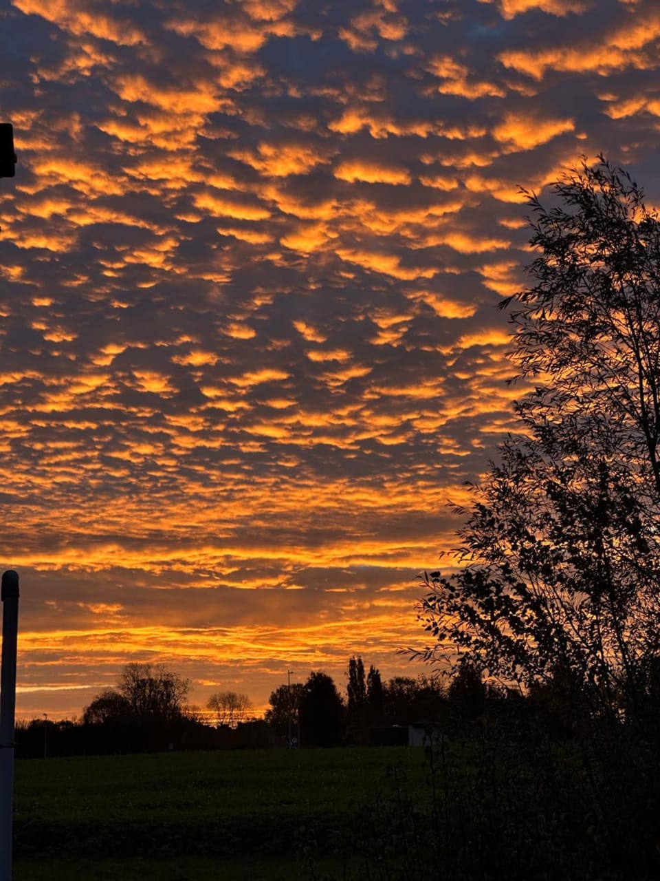 B&B De Rentmeesterhoeve Bed and Breakfast in Flanders