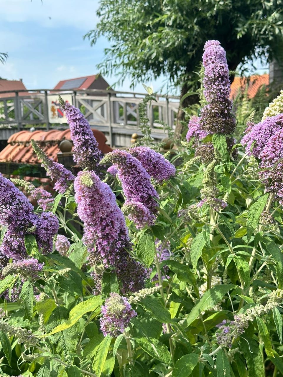 B&B De Rentmeesterhoeve Bed and Breakfast in Flanders
