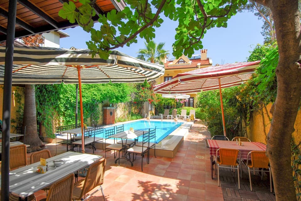 Garden, Swimming pool, Swimming pool