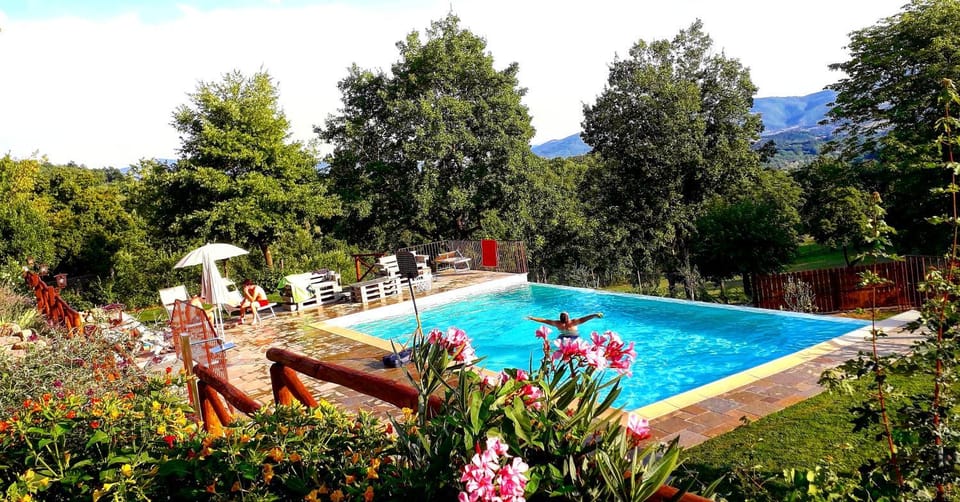 Pool view, Swimming pool, Swimming pool