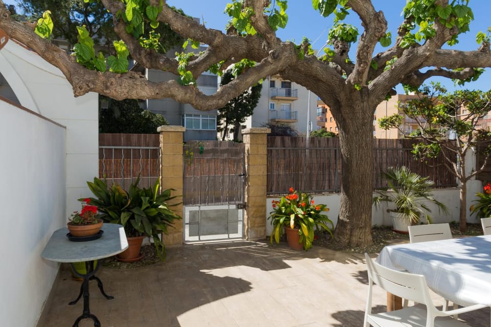 Patio, Garden