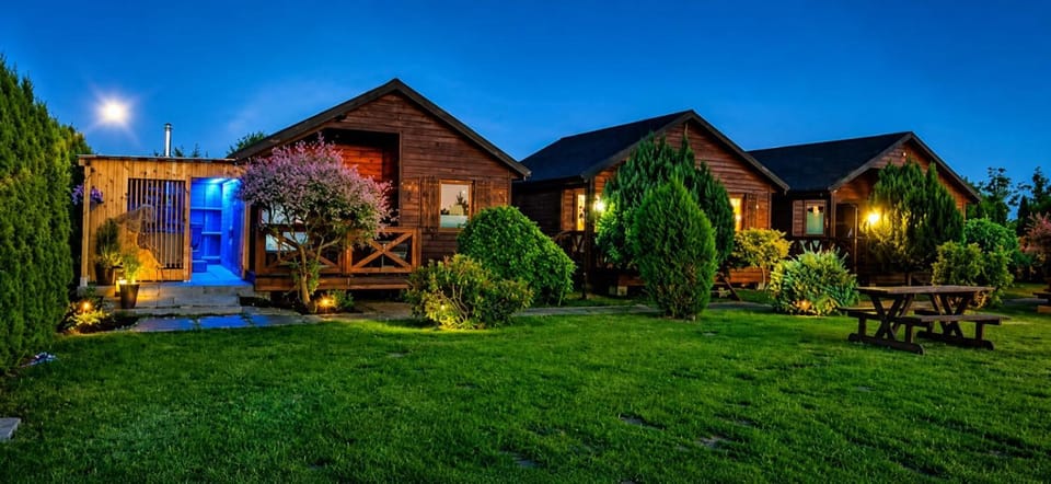 Property building, Night, Natural landscape, Garden, Garden view