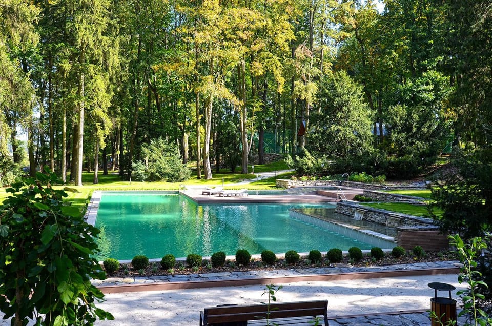 Swimming pool, Swimming pool