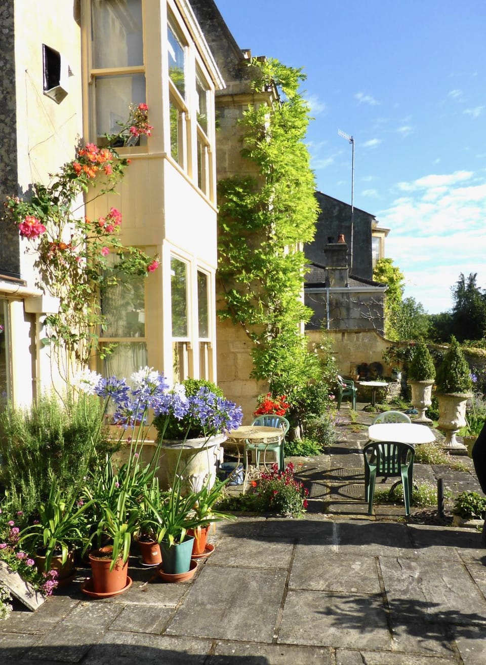 Garden view