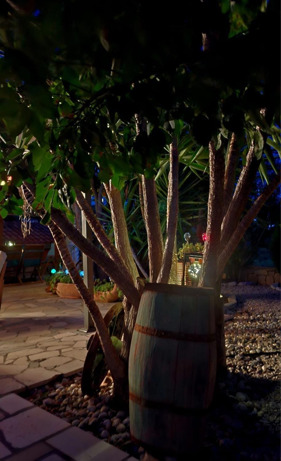 Night, Garden