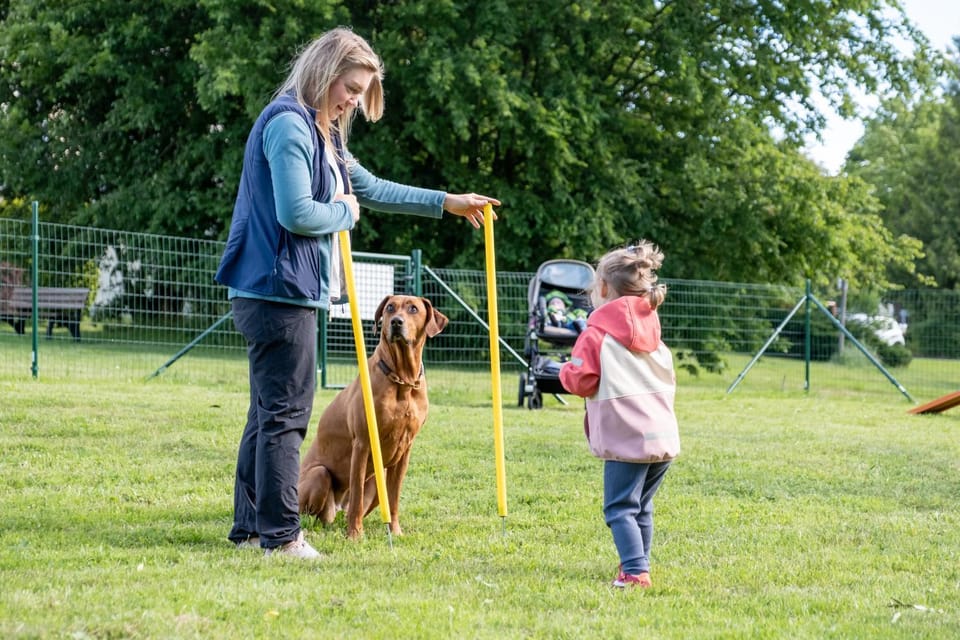 Pets, Area and facilities, Family
