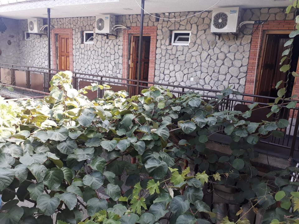 Hotel EUROPE Hostel in Georgia