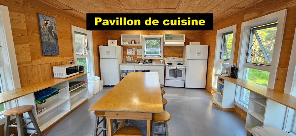 Kitchen or kitchenette, Communal kitchen, kitchen