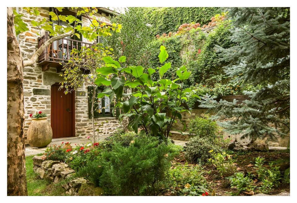 Day, Garden, Autumn, On site