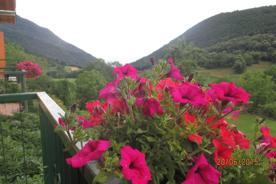 Day, Decorative detail