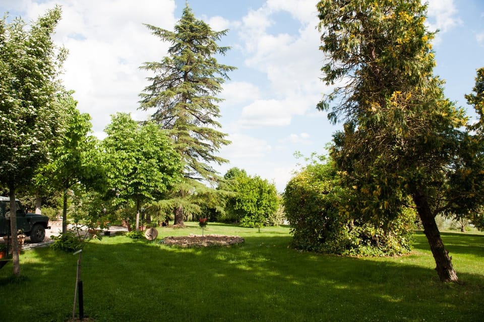 Agriturismo Villa La Morina Farm Stay in Umbria