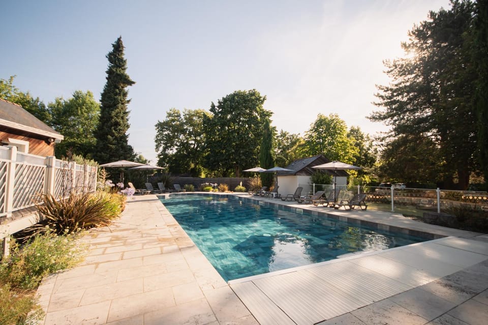 Day, Garden, Swimming pool, sunbed