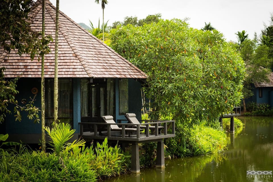 Lake view