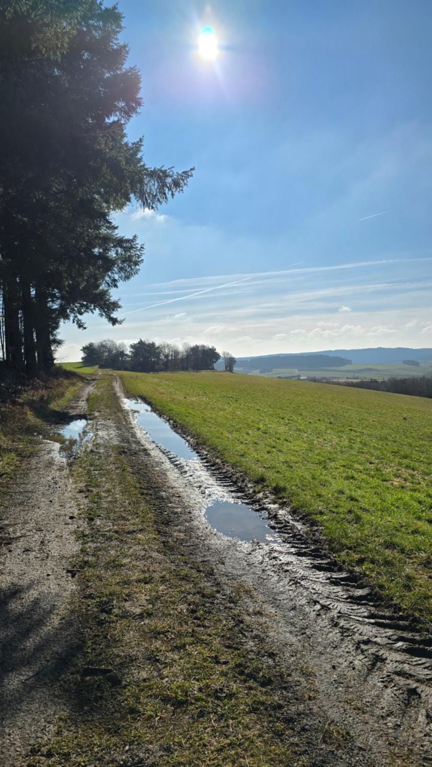 Haus Marvin Hotel in Rhineland-Palatinate