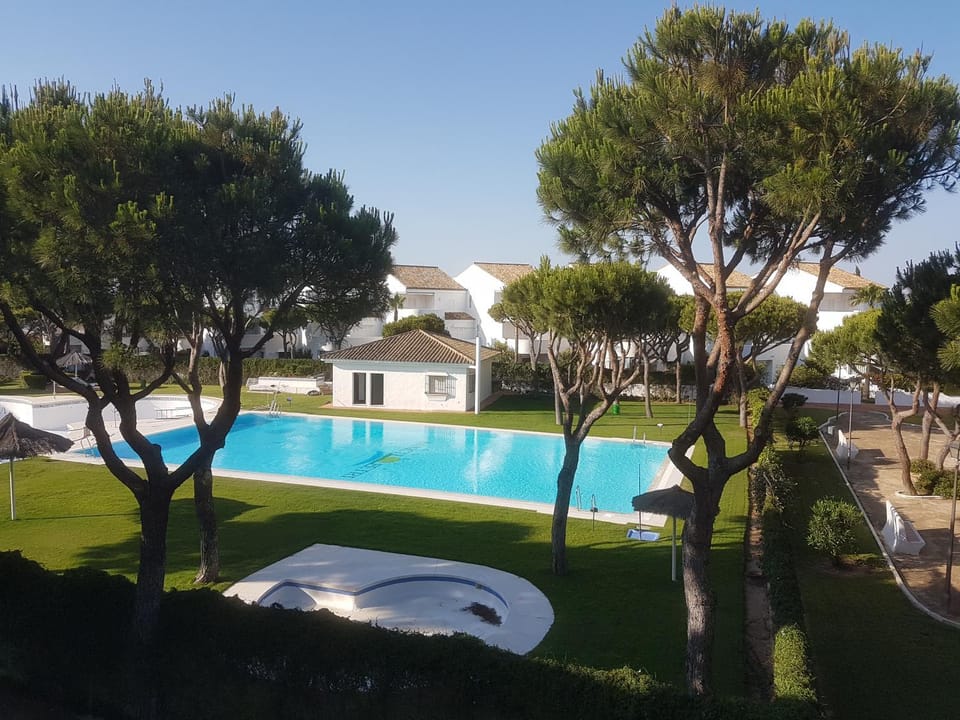 Garden, Swimming pool
