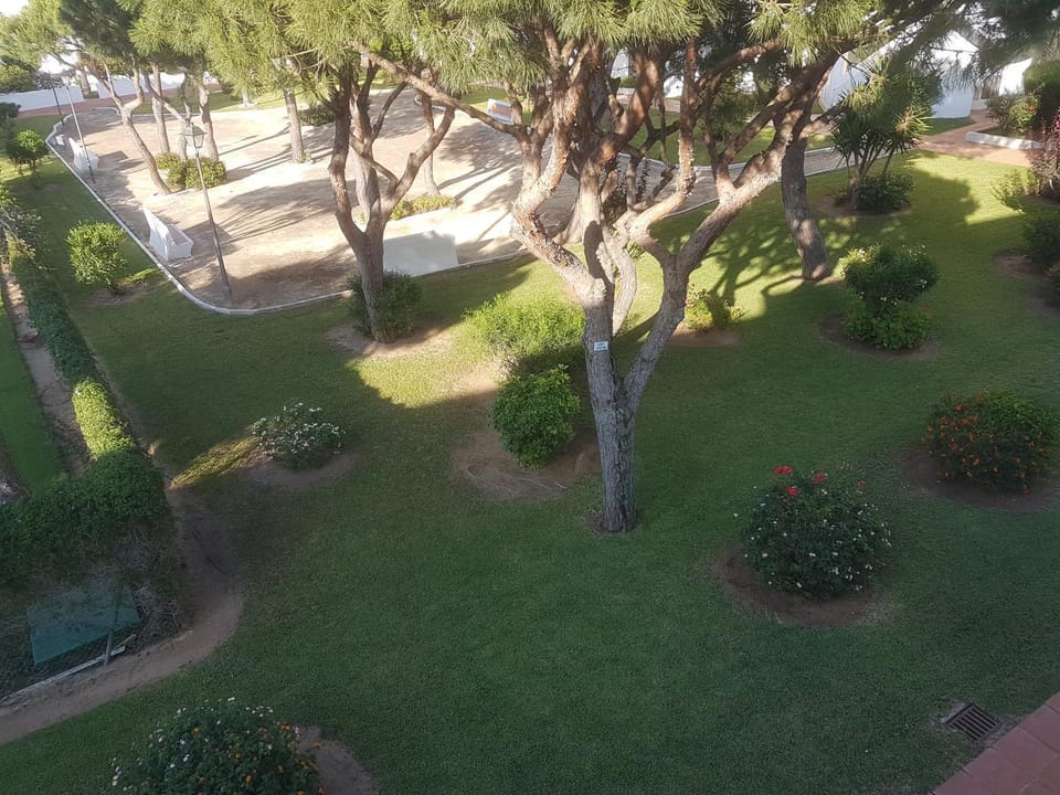 Bird's eye view, Garden