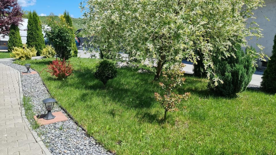Salt Orchid Apartments Apartment in Cluj County