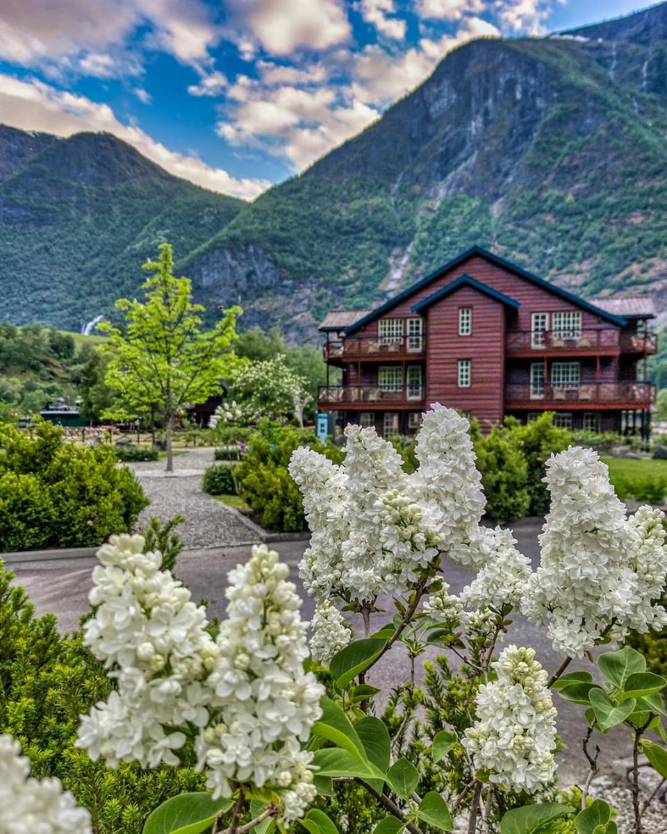 Property building, Natural landscape