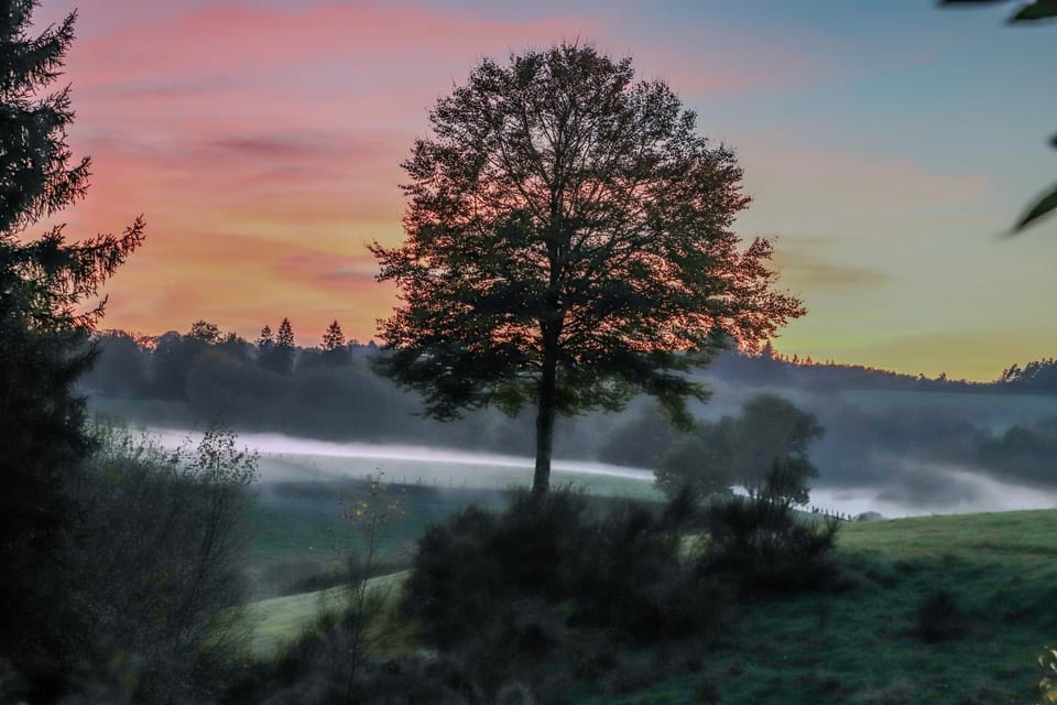Natural landscape