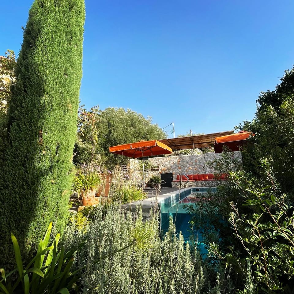 Garden, Swimming pool
