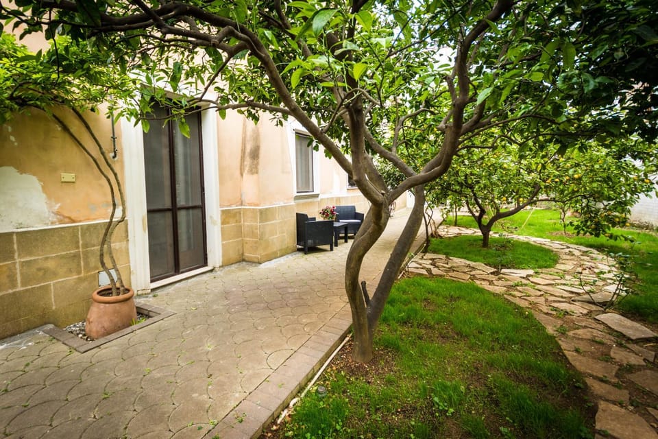 Patio, Garden