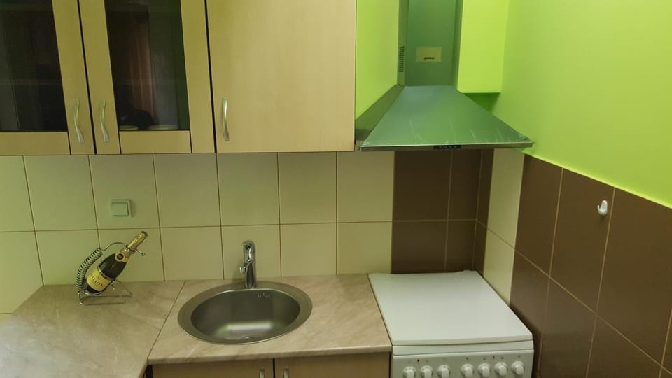 Apartment Roxana Apartment in Novi Sad