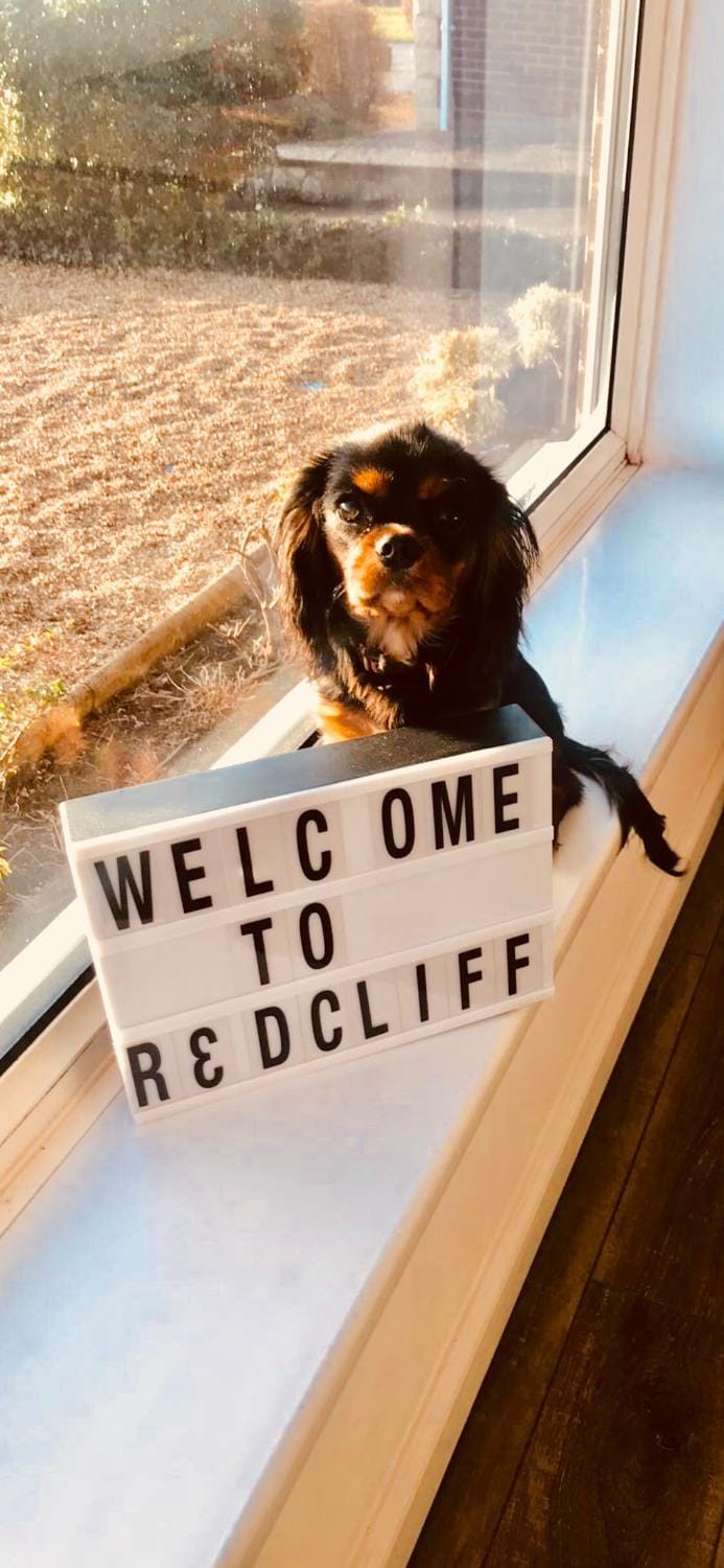 Logo/Certificate/Sign