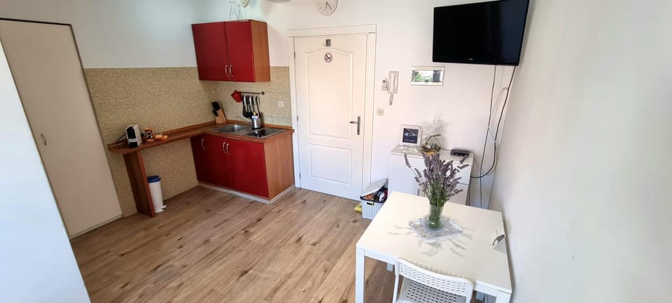 Tiny Studio Big living Apartment in Rovinj