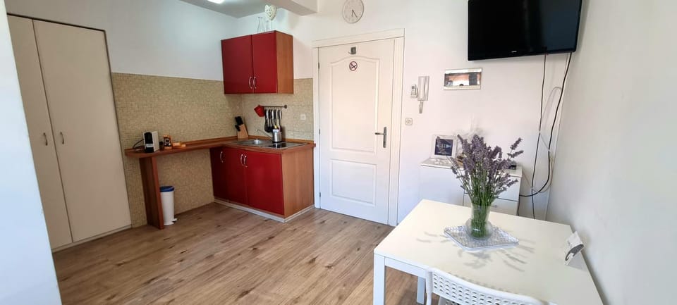 Tiny Studio Big living Apartment in Rovinj