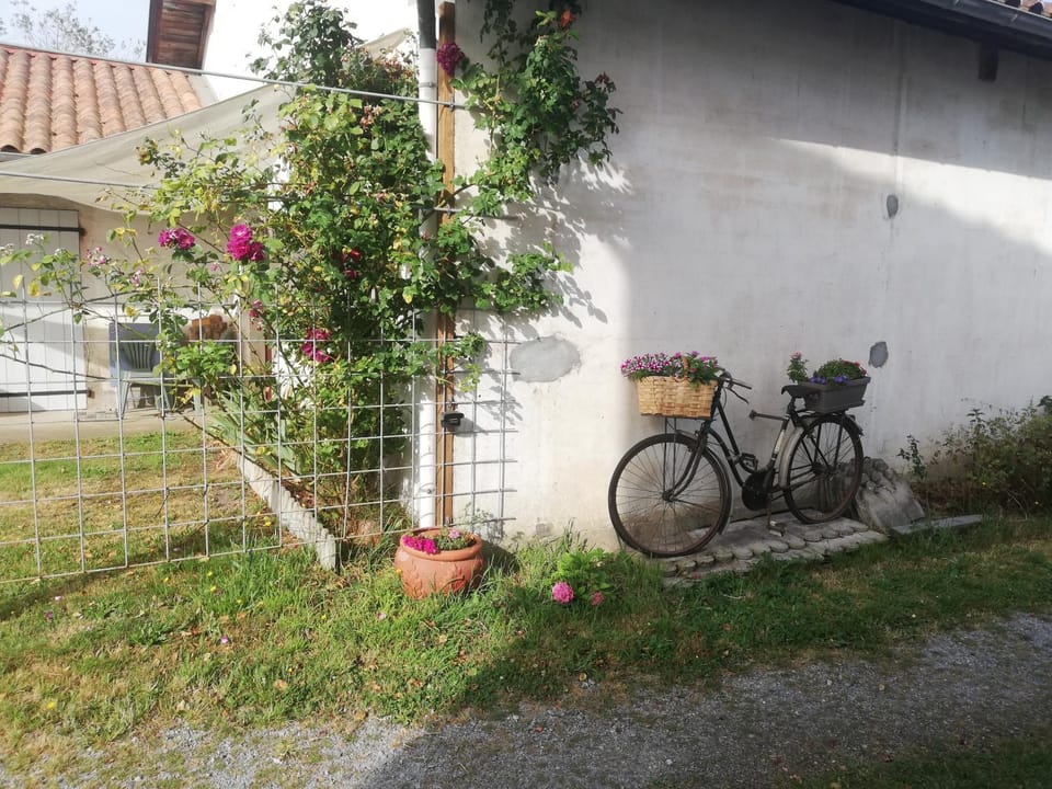 Facade/entrance, Garden