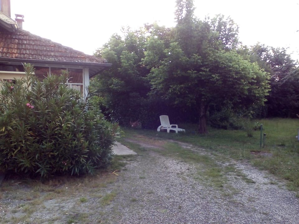 Garden, Garden view