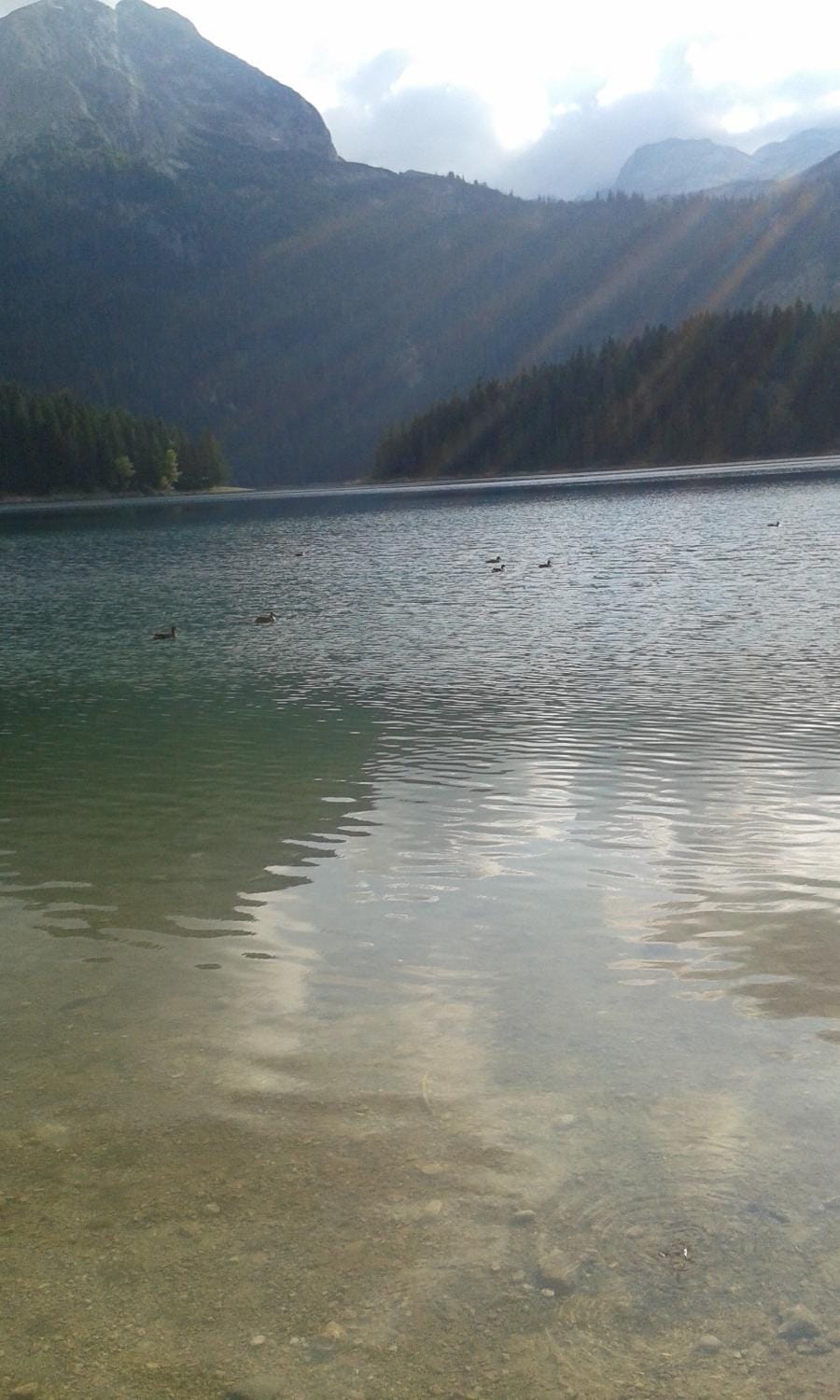 Apartment MG House in Montenegro