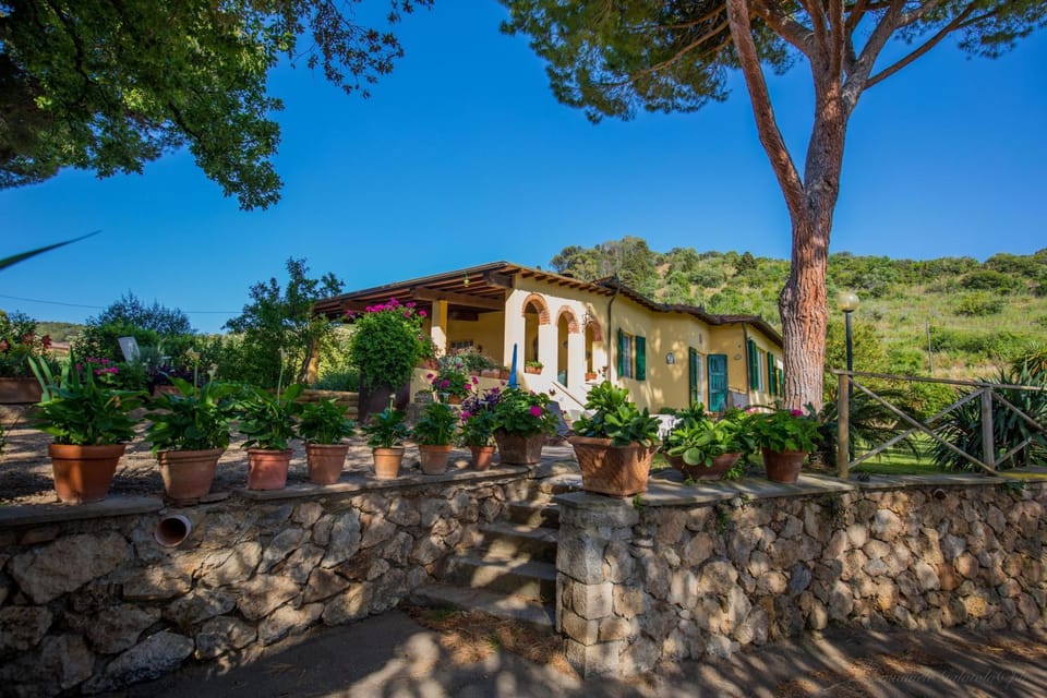 Property building, Day, Garden, Garden view