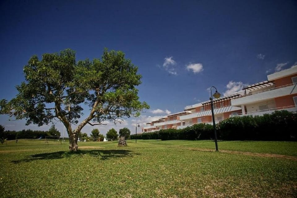 Property building, Garden