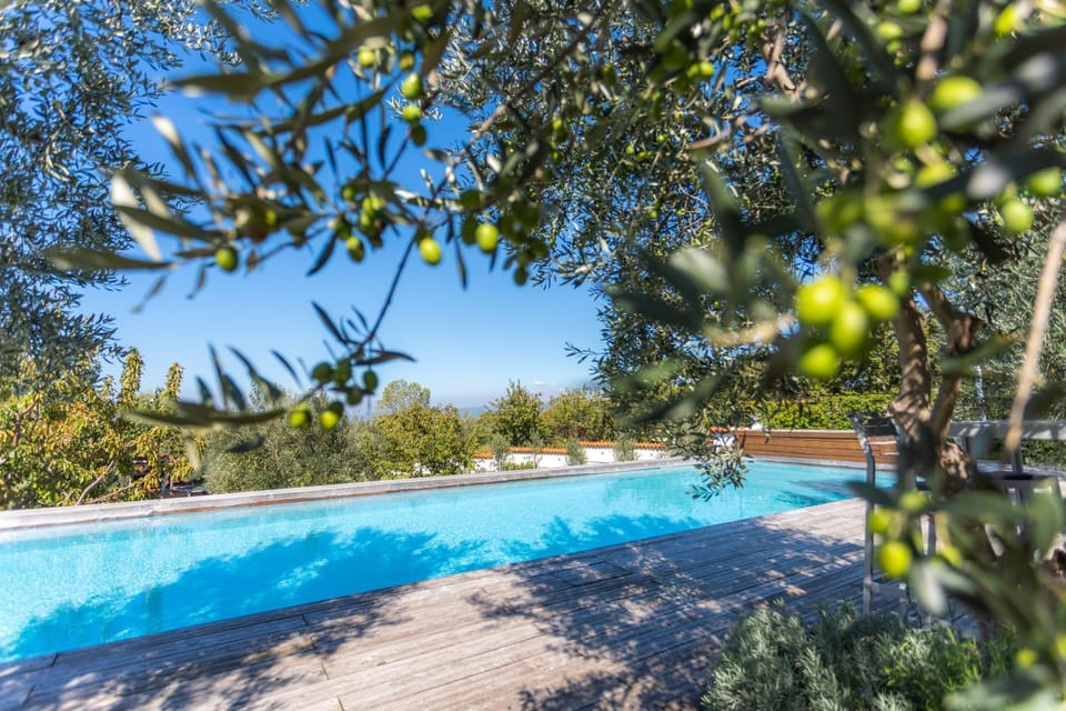 Garden, Pool view, Swimming pool