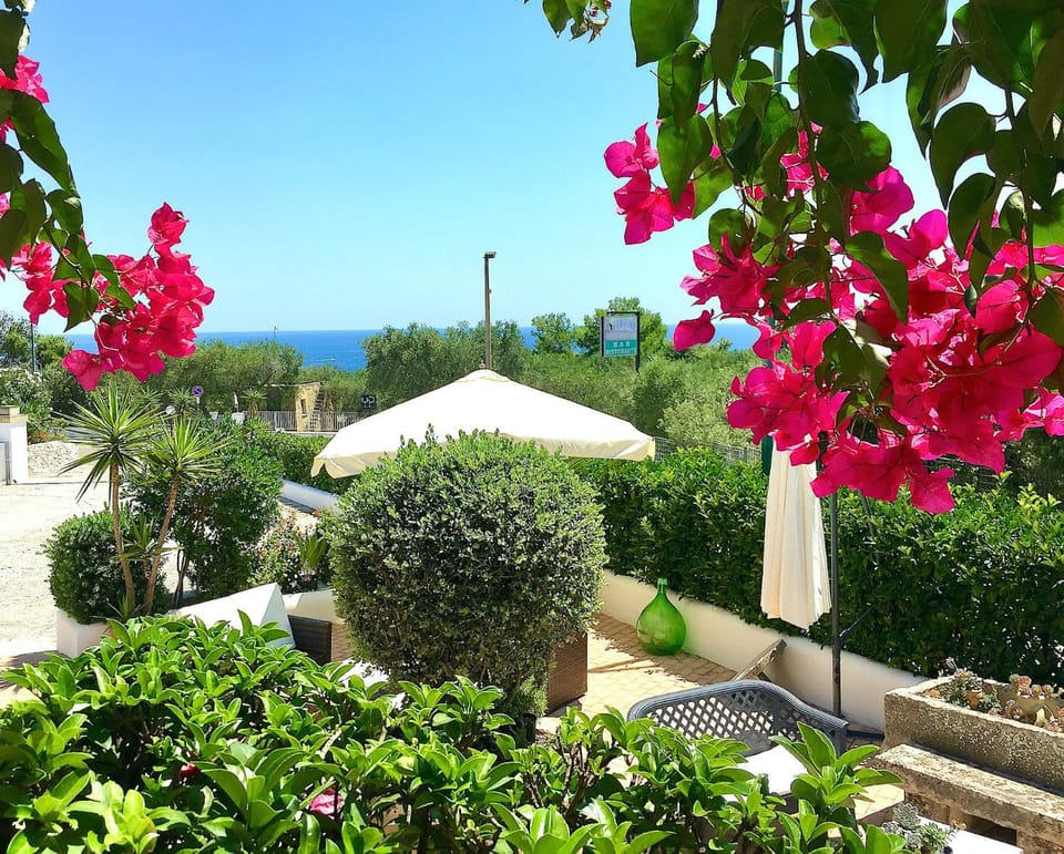 View (from property/room), Inner courtyard view