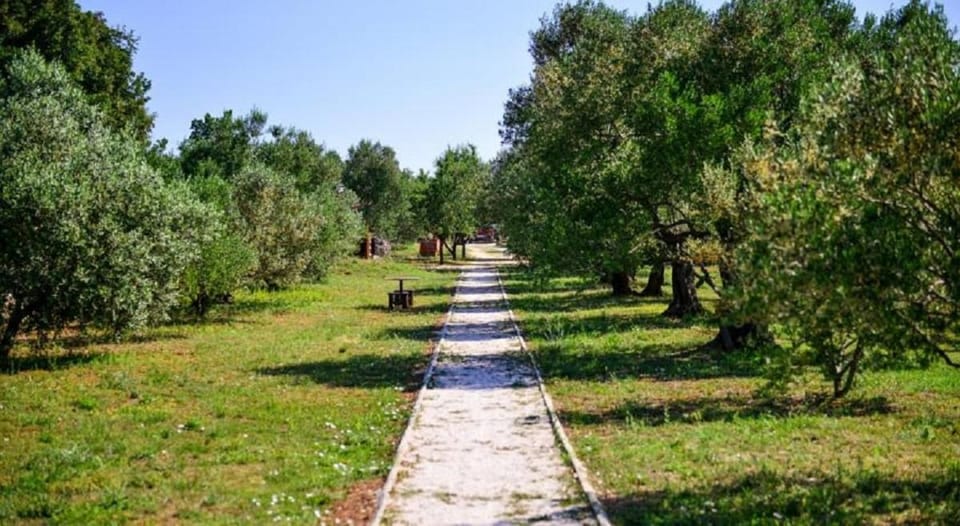 Location, children, Family