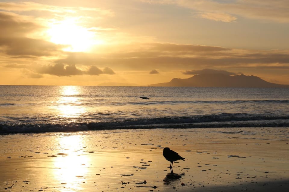 Natural landscape, Beach