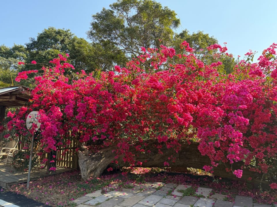 Garden, Garden view