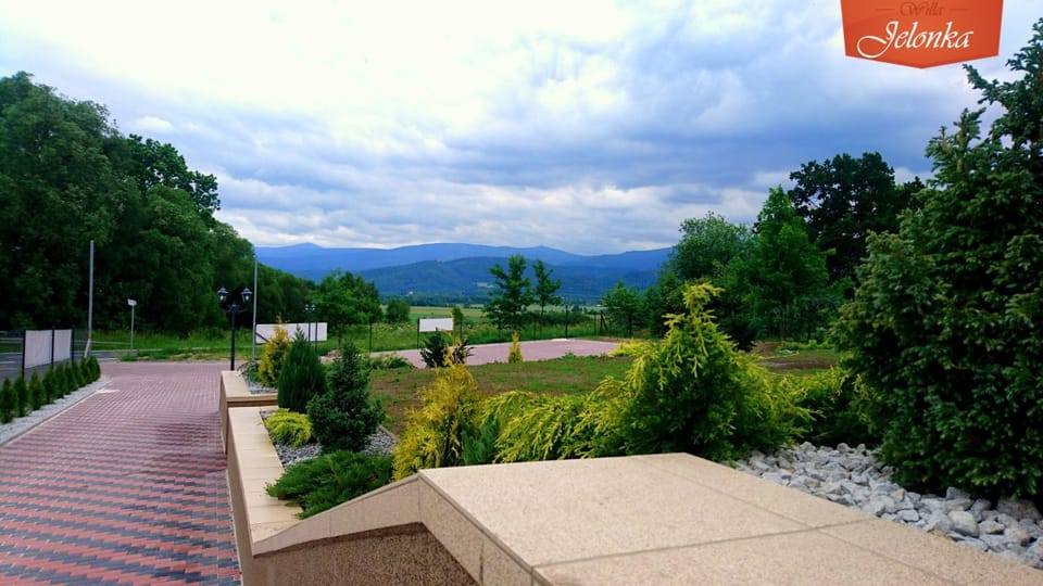 Spring, Day, Natural landscape, Garden, Mountain view, Street view